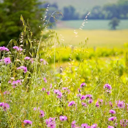Casa Rossi Di Paolo Rossi Farma
