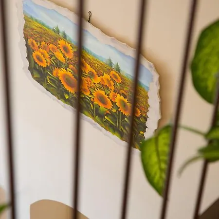 Casa Rossi Di Paolo Rossi Farma Numana